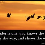 Meet the Leaders